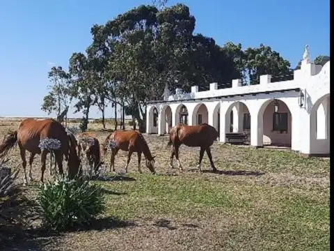 BAHIA San Blas_ Isla del jabalí provincia de Buenos Aires
