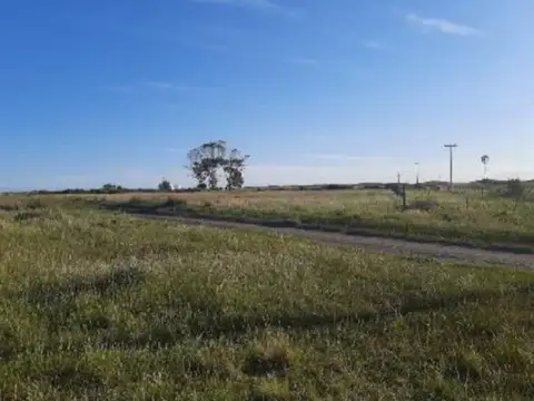 Campo - Bahia San Blas