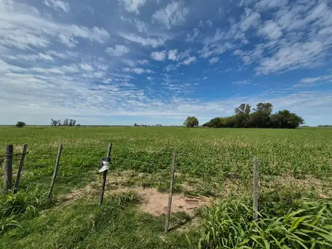 Campo en Monje