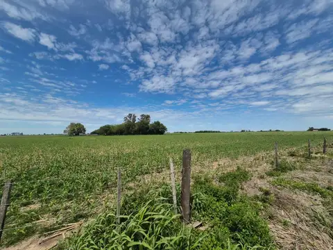 Campo en Monje