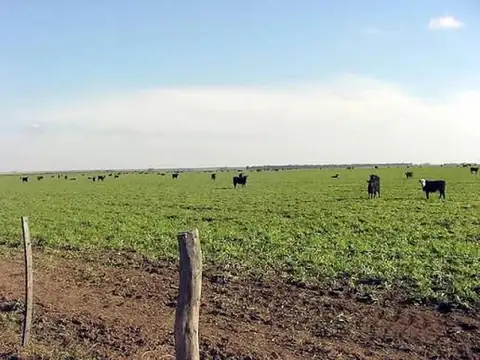 Venta de Campo 5.600 Hectáreas en Chacharramendi, La Pampa |