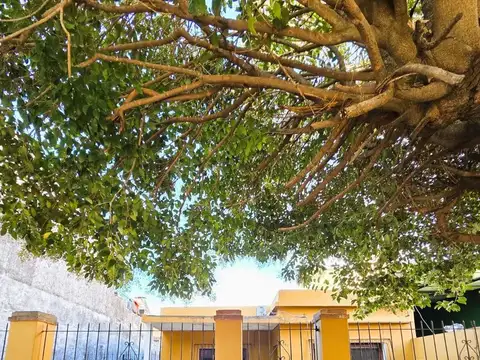 Pampa al 700