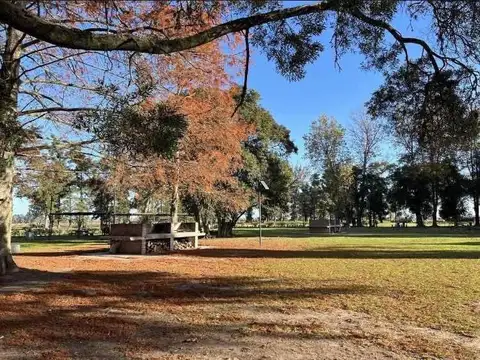 Terreno en Venta 50  mts Fondo