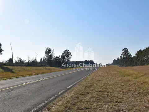 Terreno en Venta 50  mts Fondo