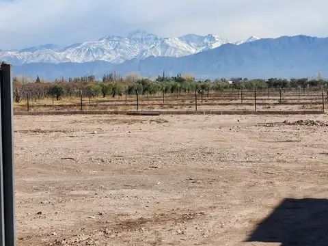 Terreno en Venta de 900,0 m2