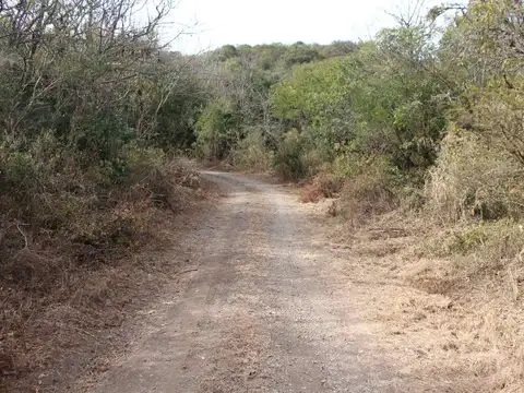 VENTA TERRENO 480M2 VILLA PAN DE AZUCAR COSQUIN