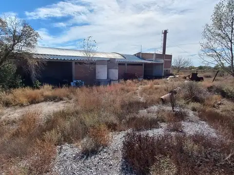 Venta 7 Hectáreas 7 Galpones Pareditas San Carlos