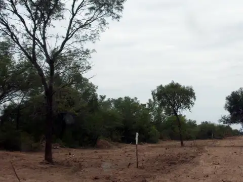 Campo Ganadero sobre Ruta 34