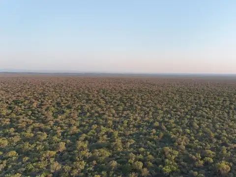 Campo en Venta en Tulumba, Córdoba