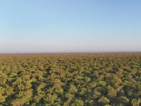 Tulumba ruta  65