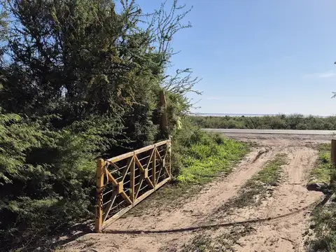 Campo GANADERO  AGRICOLA APICOLA  Tulumba CORDOBA