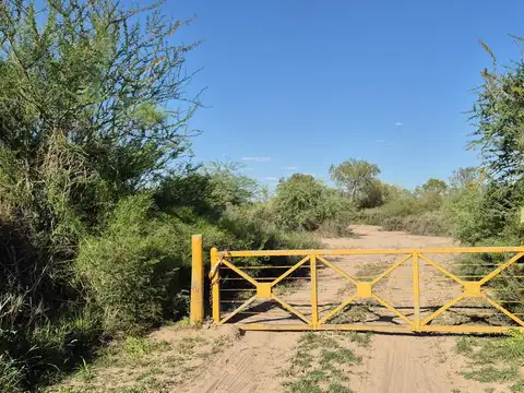 Tulumba ruta  65
