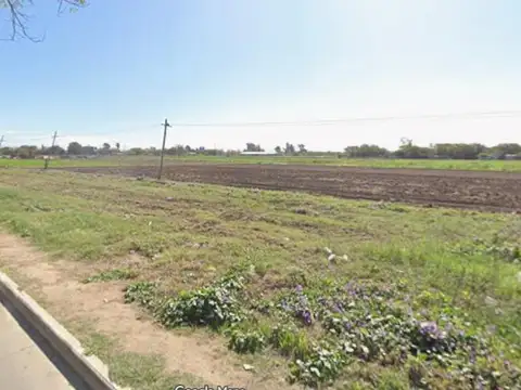 Av. Las Palmeras y Las Golondrinas