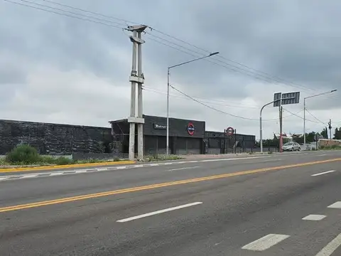Ruta Panamericana 100