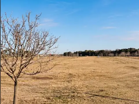 Terreno en Venta 29  mts Fondo