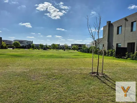 Terreno en Venta 50  mts Fondo