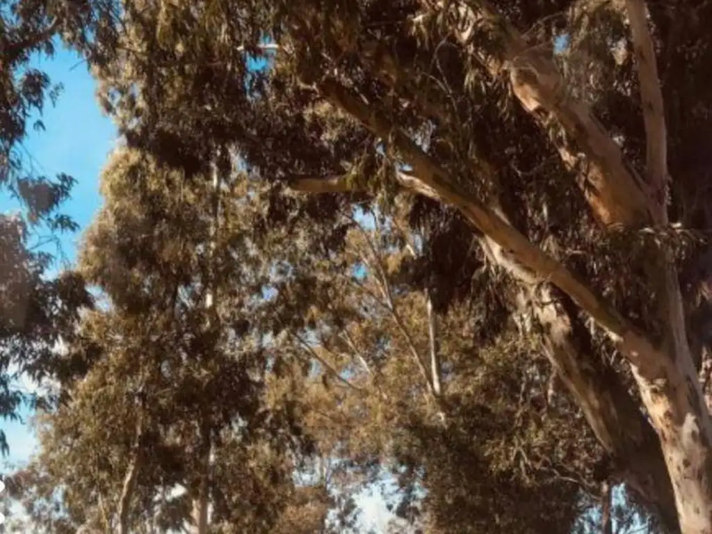 Leopoldo Marechal esquina 0, 0° piso