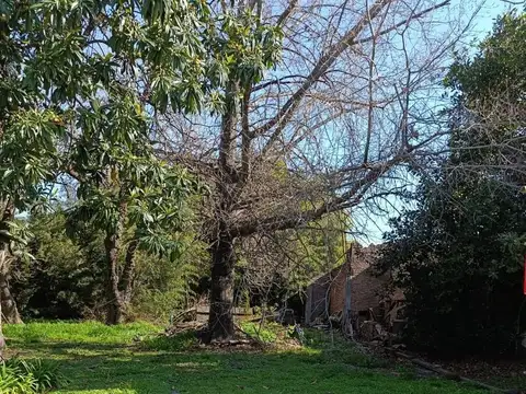 Misiones  al 600