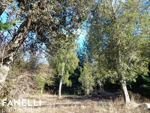 Lotes en Venta en Barrio Las balsas (cód. 207)