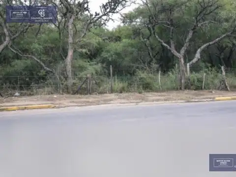 FERMIN ROMERO