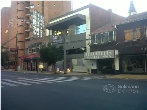 Av del Libertador al 3800