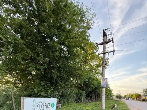 Terreno en  Salvador Maria - Lobos