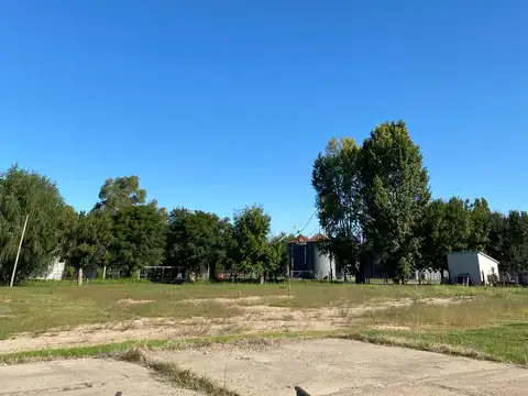 Salvador Maria - lobos