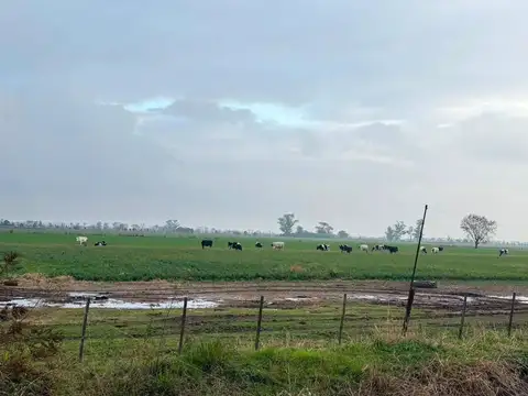 CAMPO MIXTO EN VENTA DE 1227 HAS TOSTADO SANTA FE