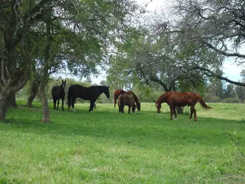 CHACRAS DEL RINCON TERRENOS EN VENTA EN OLIVEROS