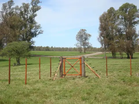 CHACRAS DEL RINCON