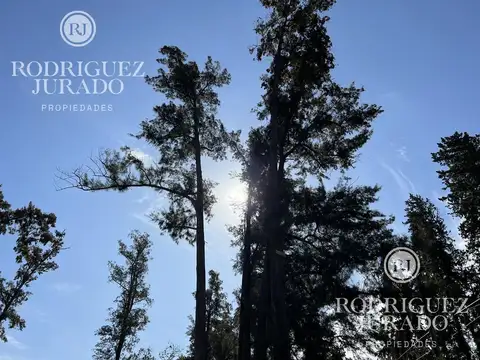 La Reserva - Benavidez - Tigre