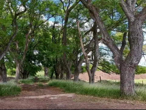 Terreno en Carabassa