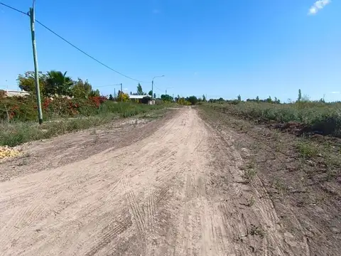 Ruta Provincial 50