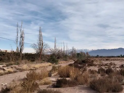 Terreno en Venta en Lujan de Cuyo, Luján de Cuyo