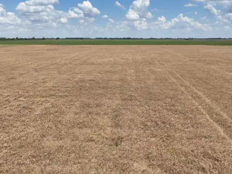 Campo Mixto en venta en San Andres De Giles