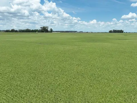 Campo Mixto sobre Ruta