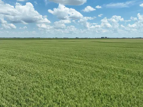 Campo en Venta Mixto
