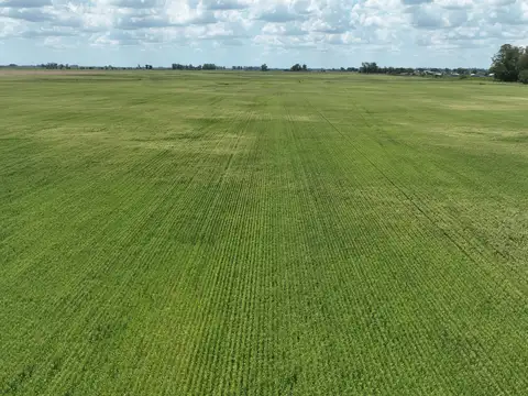 Campo Mixto en venta en San Andres De Giles
