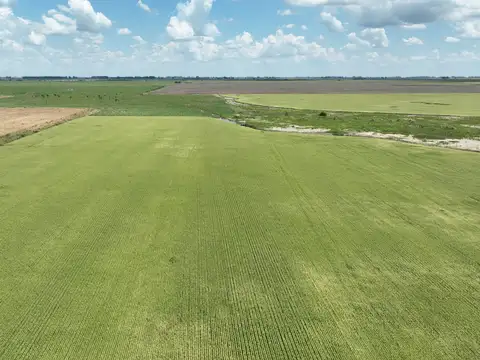 Campo en Venta de 1.038  ha