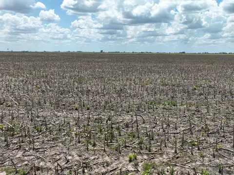 Campo en Venta Mixto