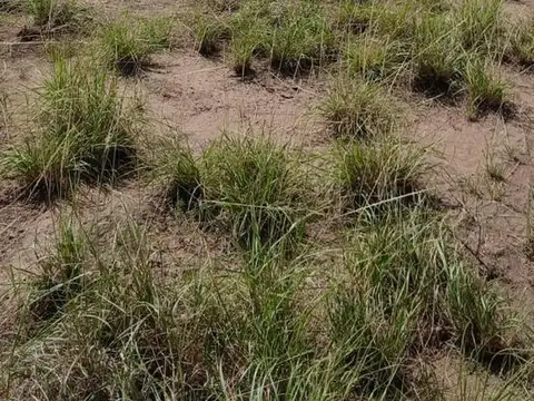 Terreno en Venta en Las Tapias, USD 100.000
