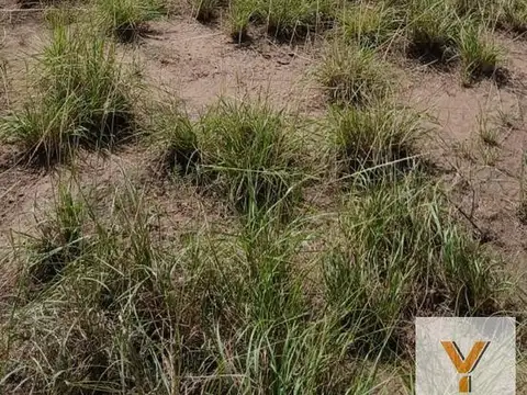 Terreno en Venta en Las Tapias, USD 100.000