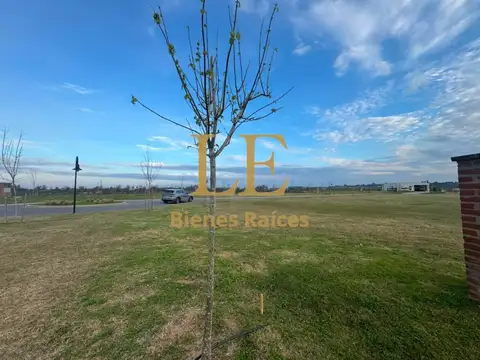 Terreno en Venta en El Naudir, USD 19.900