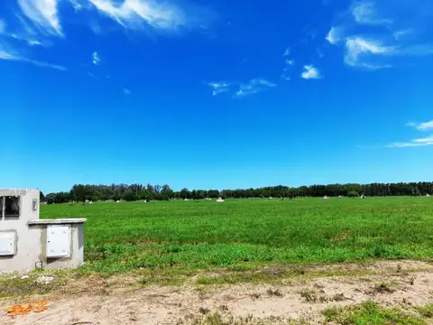 Av Beschtedt 2500, Lujan