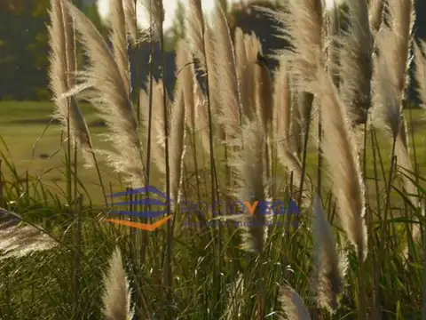 Terreno en La Primavera