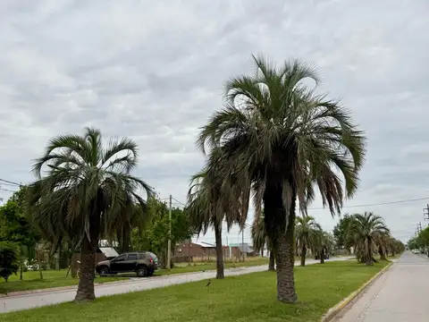 Terreno en Tierra de Sue&#xF1;os 3