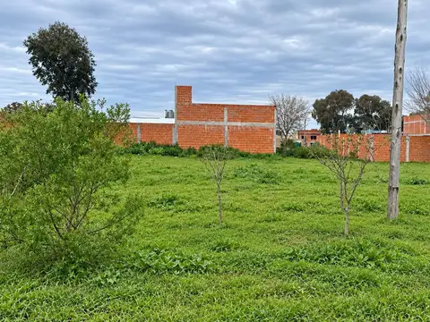 Terreno en Venta de 242,0 m2