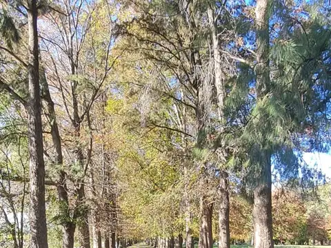 VENTA CHACRA EN PILAR. 2 HECTAREAS CON CASA