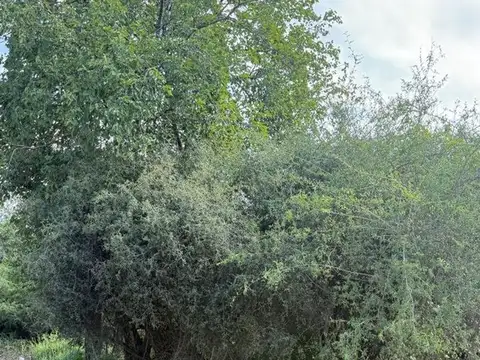 venta terreno de 300 metros en salsipuedes cordoba