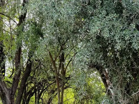 Terreno en Venta en Agua De Oro, USD 9.999